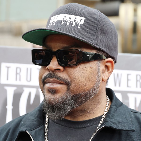 ice cube, writer of the scathing diss track no vaseline